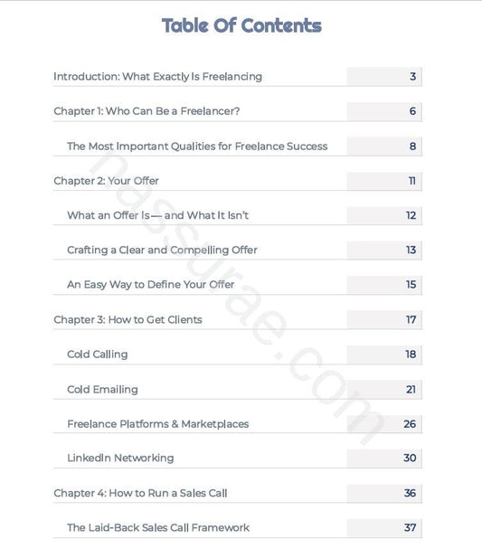 Freelancer Launch Guide: Step-by-Step Startup eBook (PDF Download)